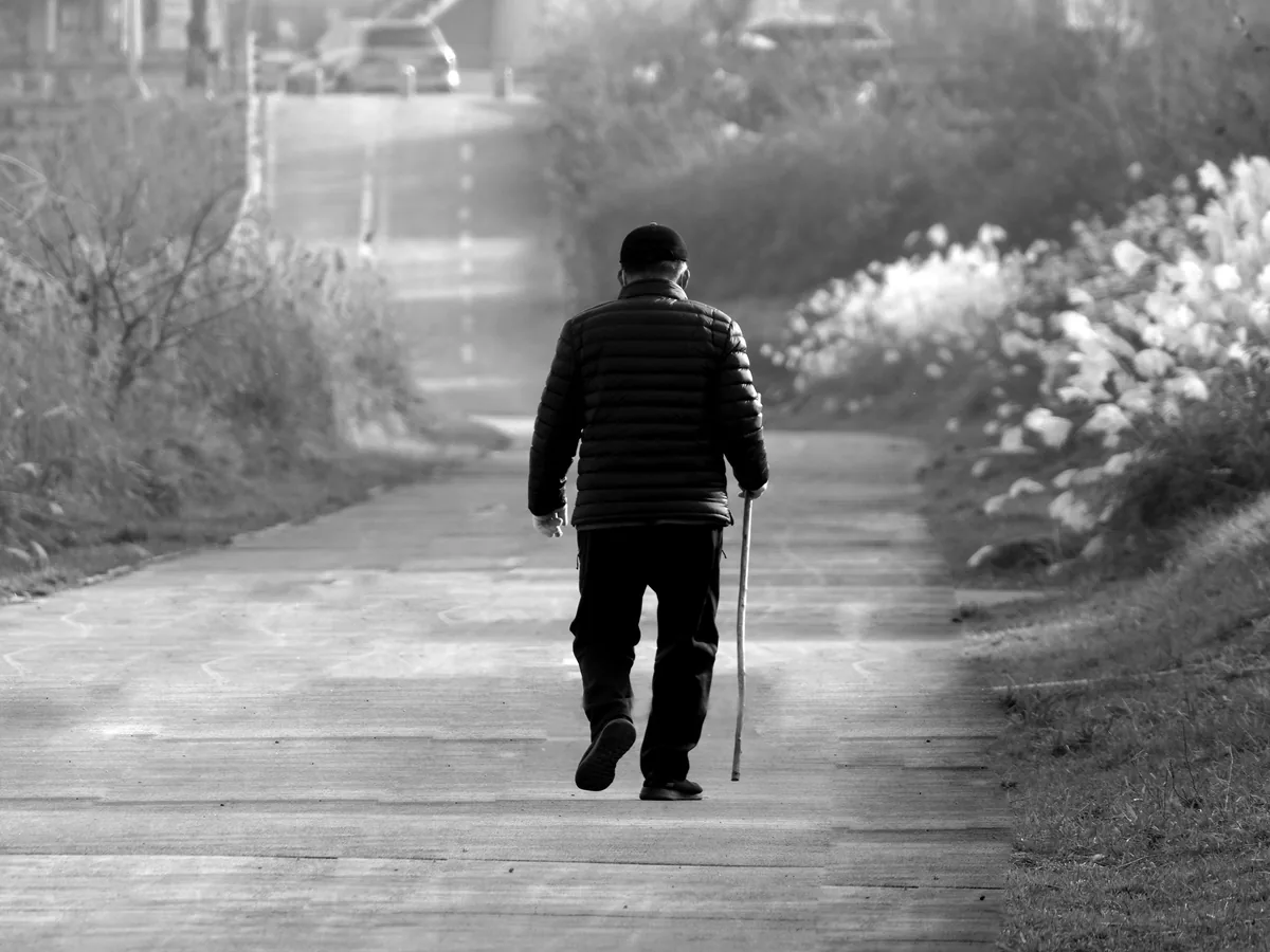 A solitary senior man walks with a cane on a peaceful path, surrounded by nature.