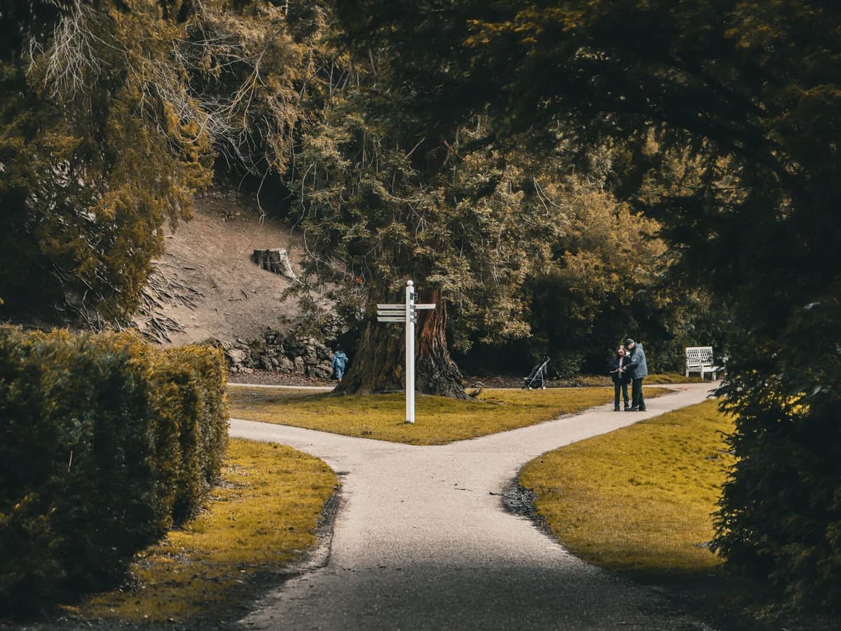 A forked path with a signpost